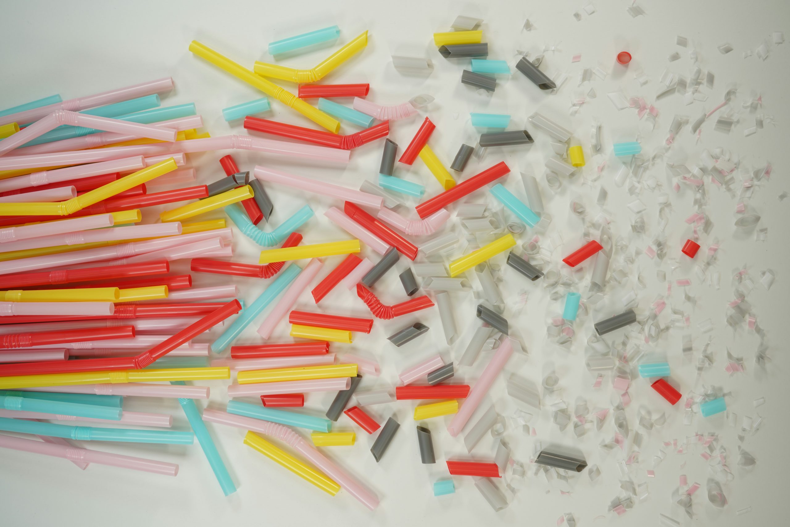the plastic pellet