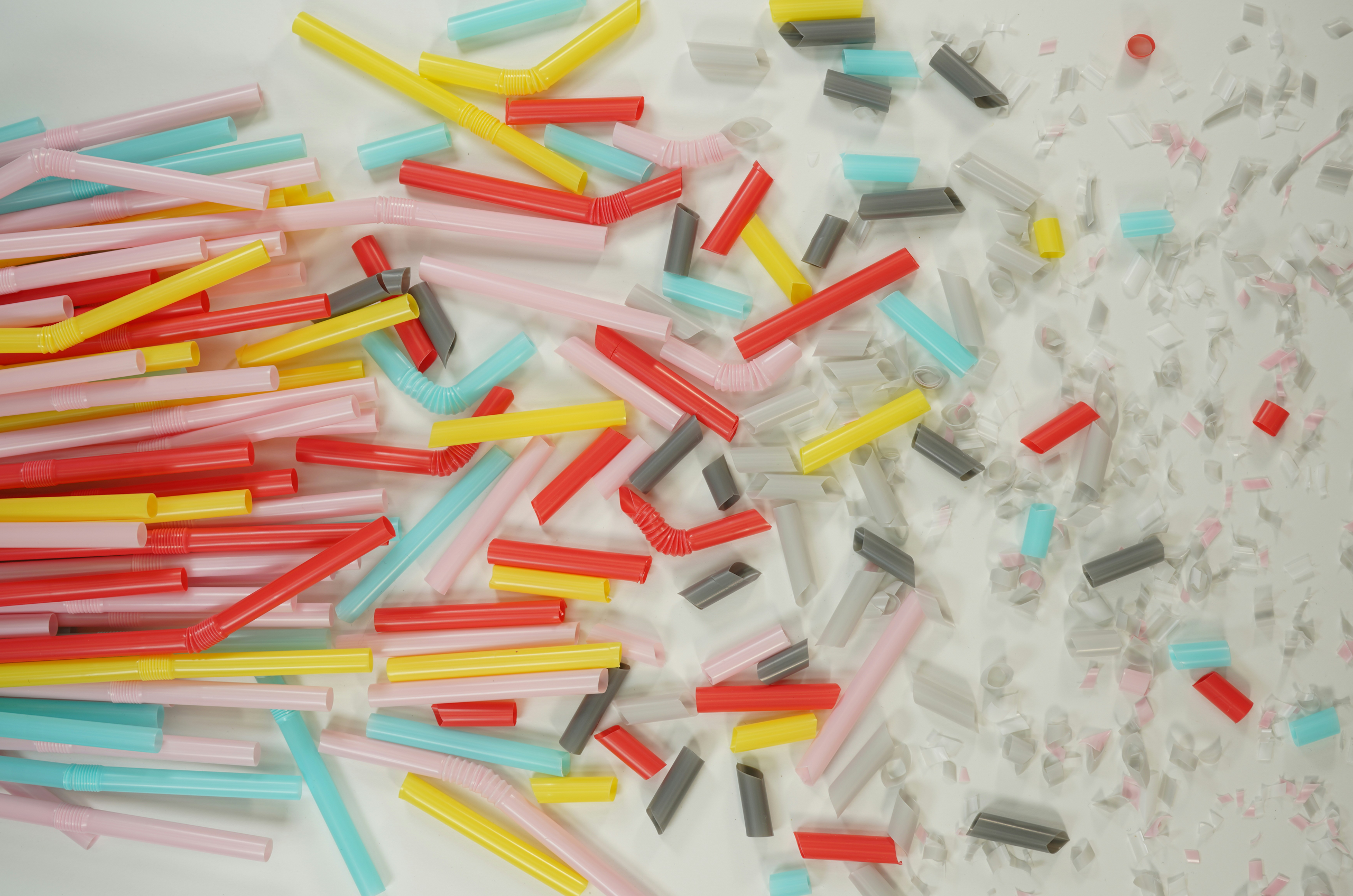 the plastic pellet