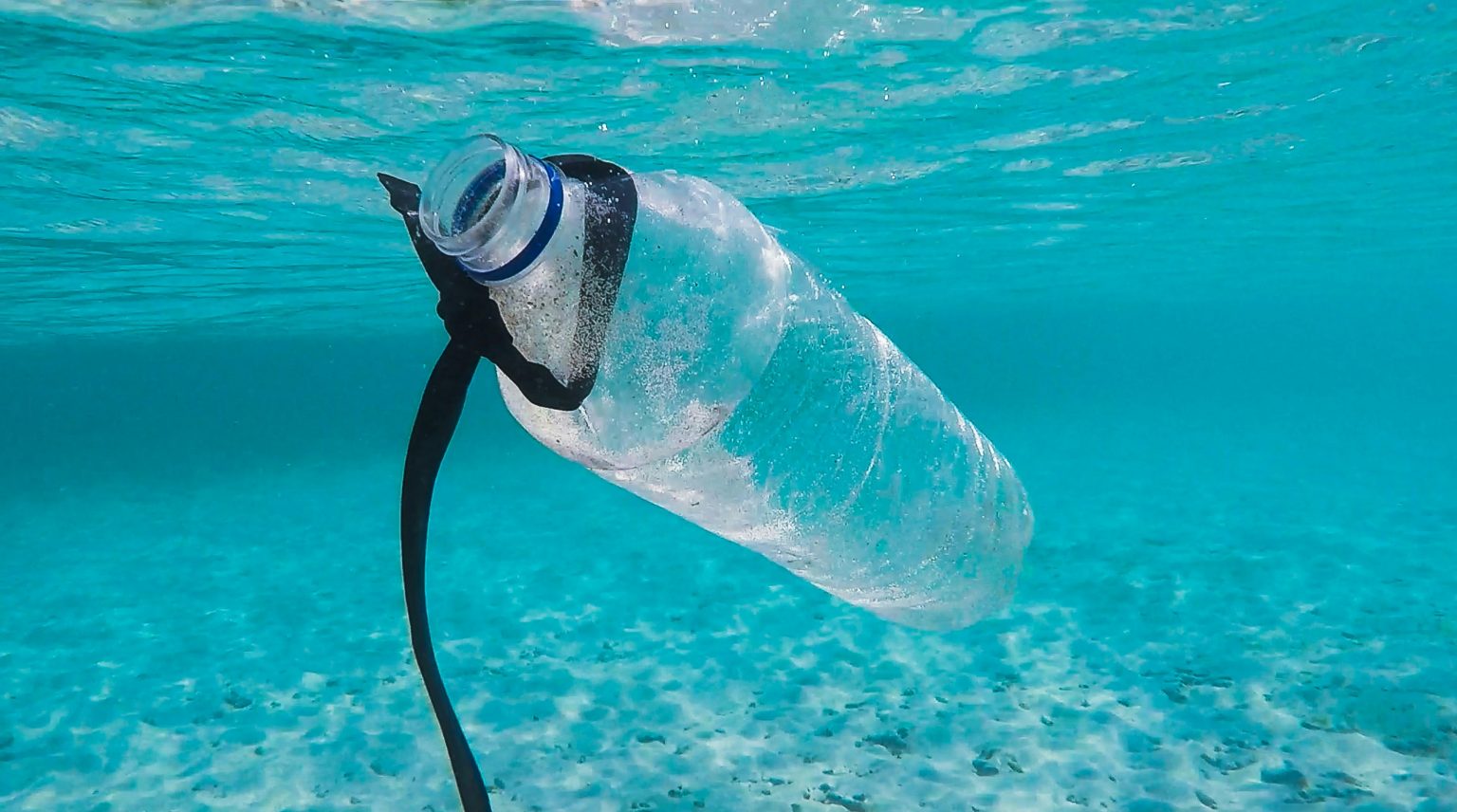 Plastic bottles at sea